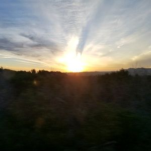 Meet your Posher, Corey